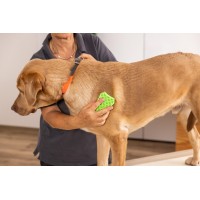 Силіконова щітка для короткої шерсті WAHL Sheddy Green 2999-7035