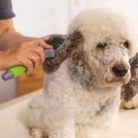 Двостороння пуходірка WAHL Flexible Slicker Brush Green 2999-7085
