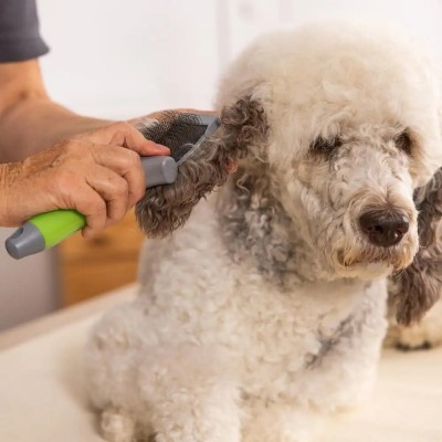 Двостороння пуходірка WAHL Flexible Slicker Brush Green 2999-7085